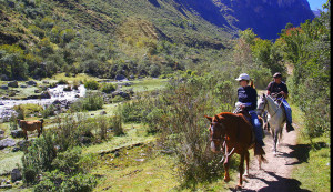 Horseback_Cusco