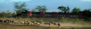 Amboseli Serena Lodge